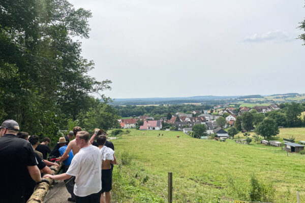 Baum-holen_2
