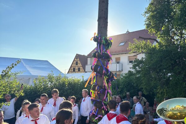 Baum austanzen