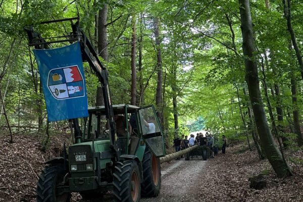 Baum holen