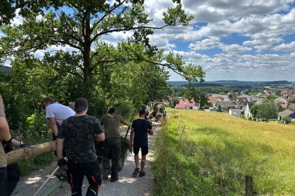 Baum holen